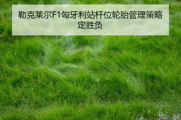 lei-ke-lai-er-xiong-ya-li-zhan-gan-wei-lun-tai-guan-li-ce-lve-ding-sheng-fu-2-339.jpg