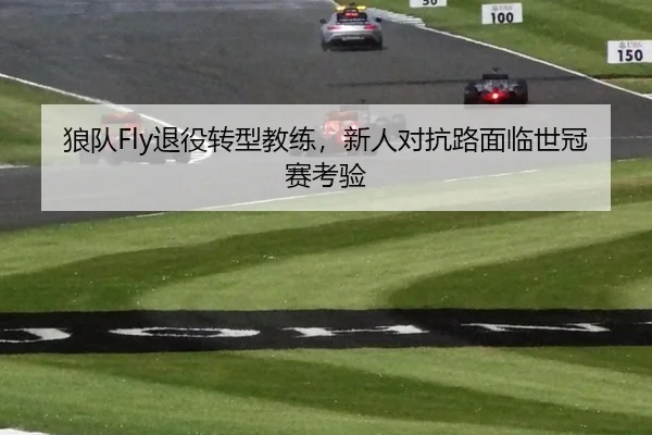 狼队Fly退役转型教练，新人对抗路面临世冠赛考验