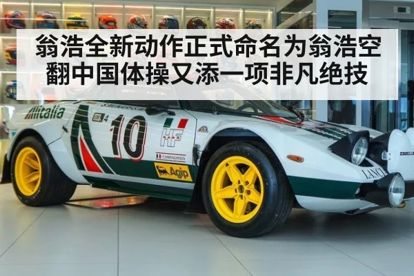 翁浩全新动作正式命名为翁浩空翻中国体操又添一项非凡绝技
